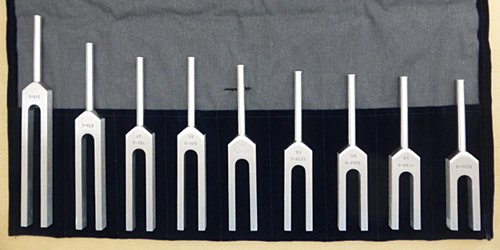 八十も近い母ですが、初めての音叉体験にびっくり