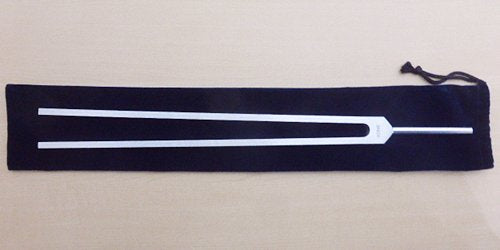 ウチの茶トラの猫、タンちゃんはヒーリング好きです。