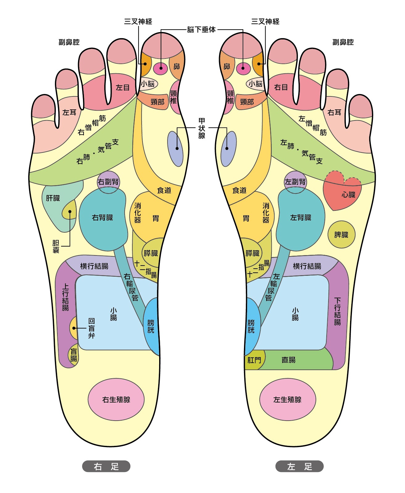 足・手・耳ツボの反射区を利用した音叉ヒーリング