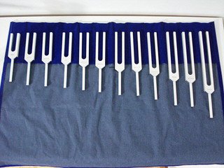 凄さを感じました。