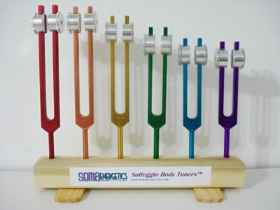 音のみならず体感として振動数の違いを感じることが出来ました。