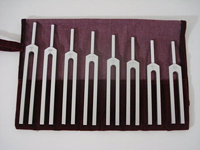 チャクラの調整だけではなく、神経を調整したり、さまざまな使い方ができる