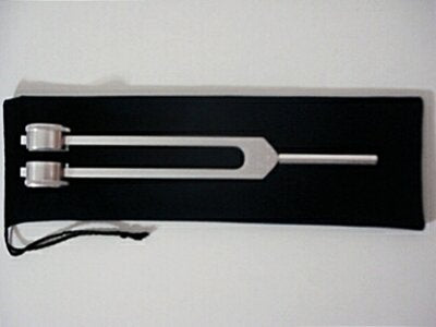 お腹にあてると…動きました。内臓が!!!