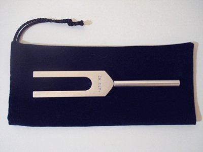 音叉が心に響いてゆるめてくれて自分の心に寄り添えた