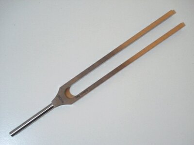 猫ケース嬉しかったです(o^^o)