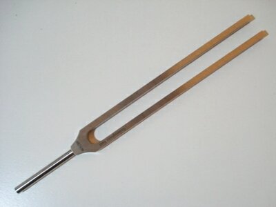 実物も同じ感覚でしたし、響きが私にはとても心地よく感じられます。