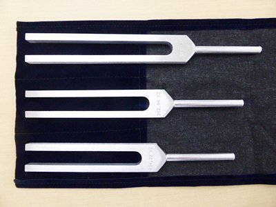 この音叉を利用することで、審美眼が養われる