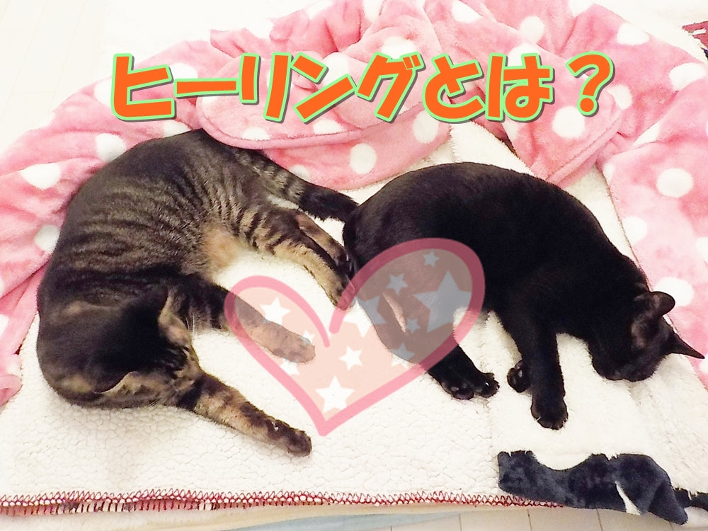 ヒーリングとは、そもそも何なのでしょうか。