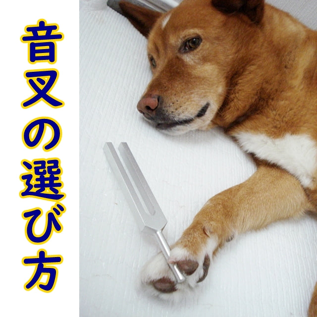 ヒーリング音叉の選び方
