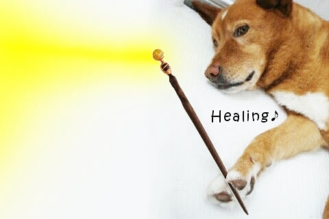 ワンドヒーリングとは