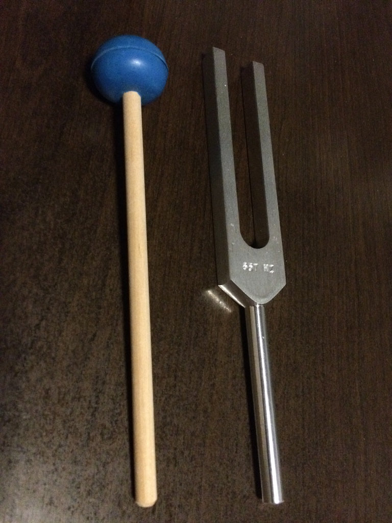 疲れが吹き飛ぶような感じがして、音叉の音に癒されてしまいました。