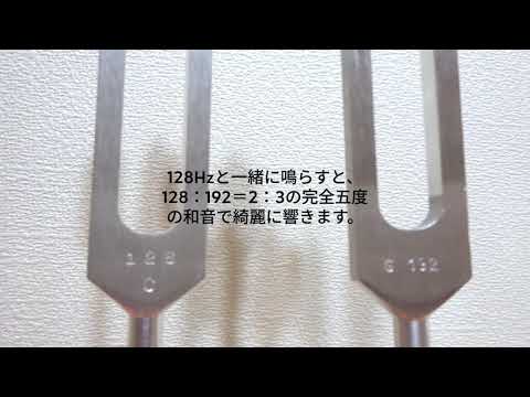 ワンネス・カンパニー